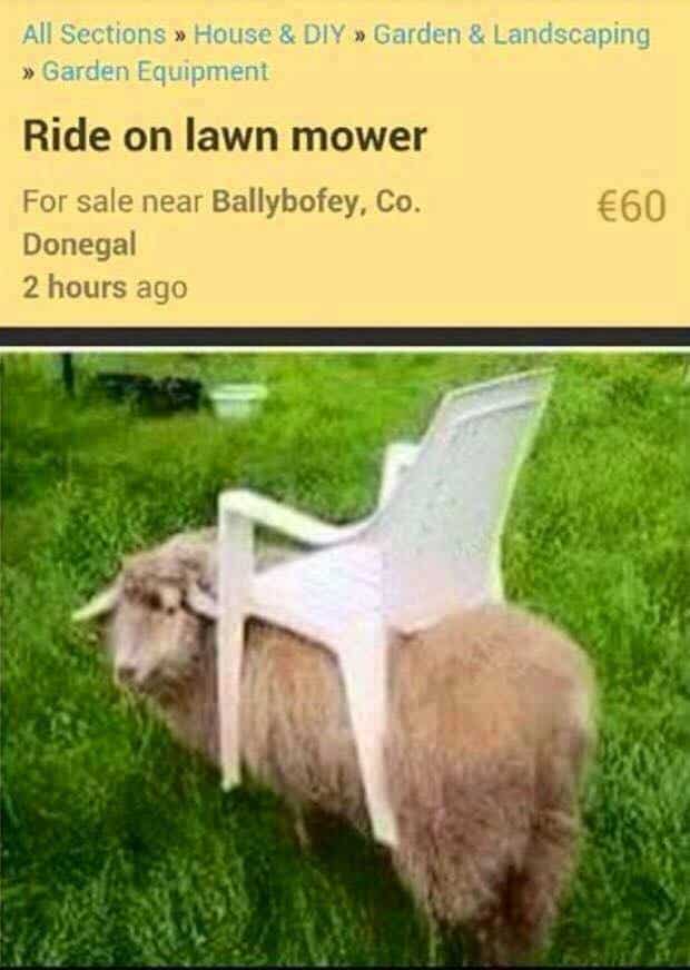 Meanwhile in Donegal