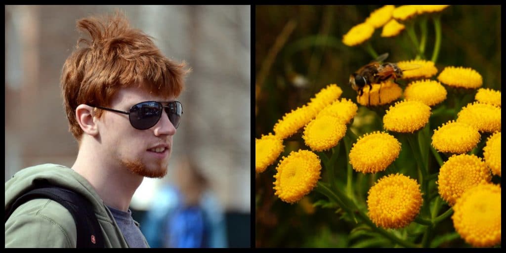 Top 10 facts about ginger hair that you never knew.
