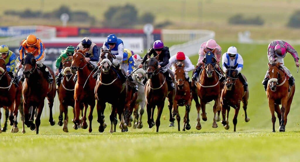 The Curragh is the home of flat racing in Ireland.