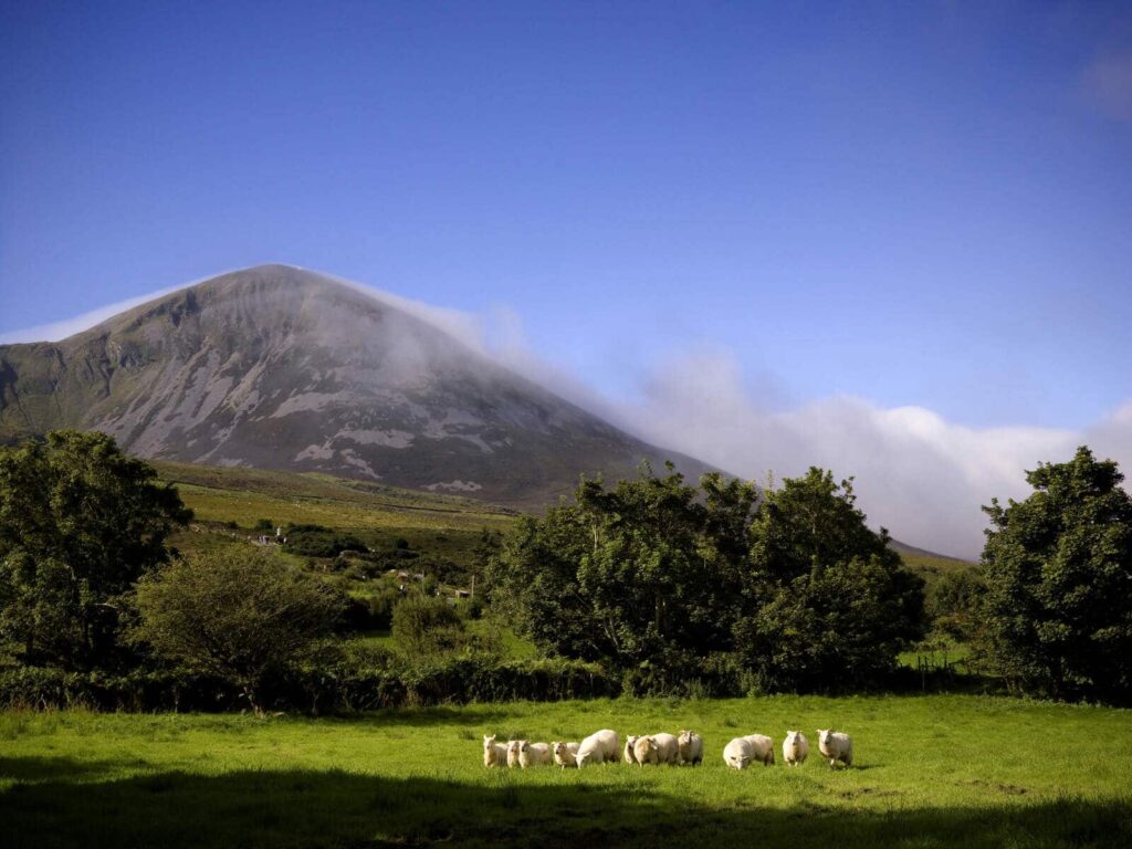 Croagh Patrick pilgrimage is one of the most important Irish cultural traditions.