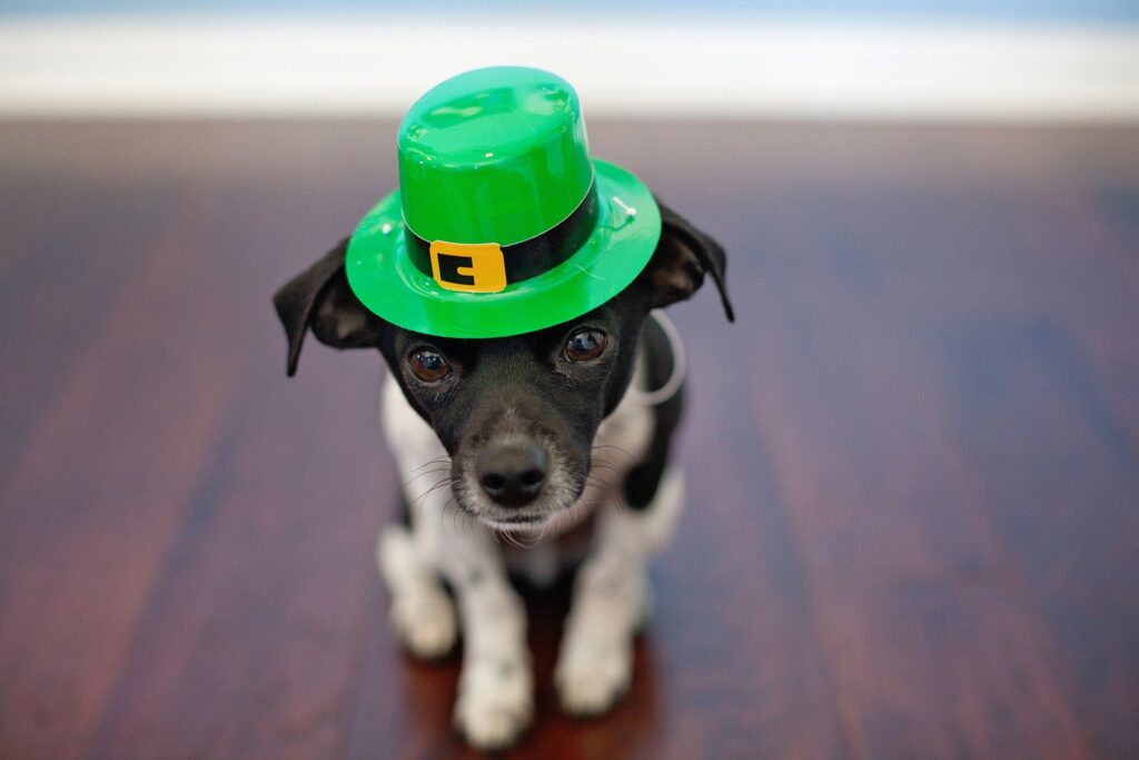 Lucky for the luck of the Irish.