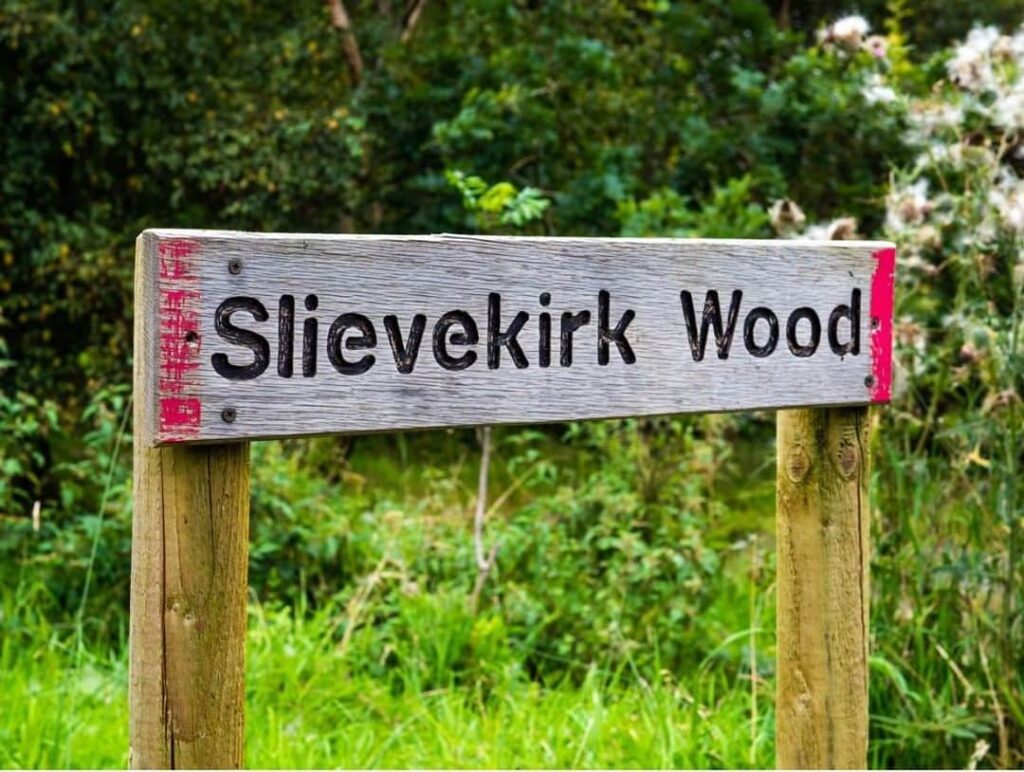 Slievekirk Wood is one of the plots of land you can buy in Ireland.