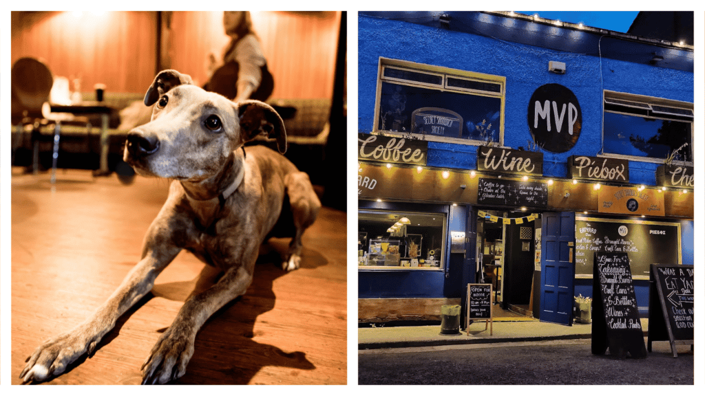 MVP is one of the best dog-friendly pubs in Ireland.