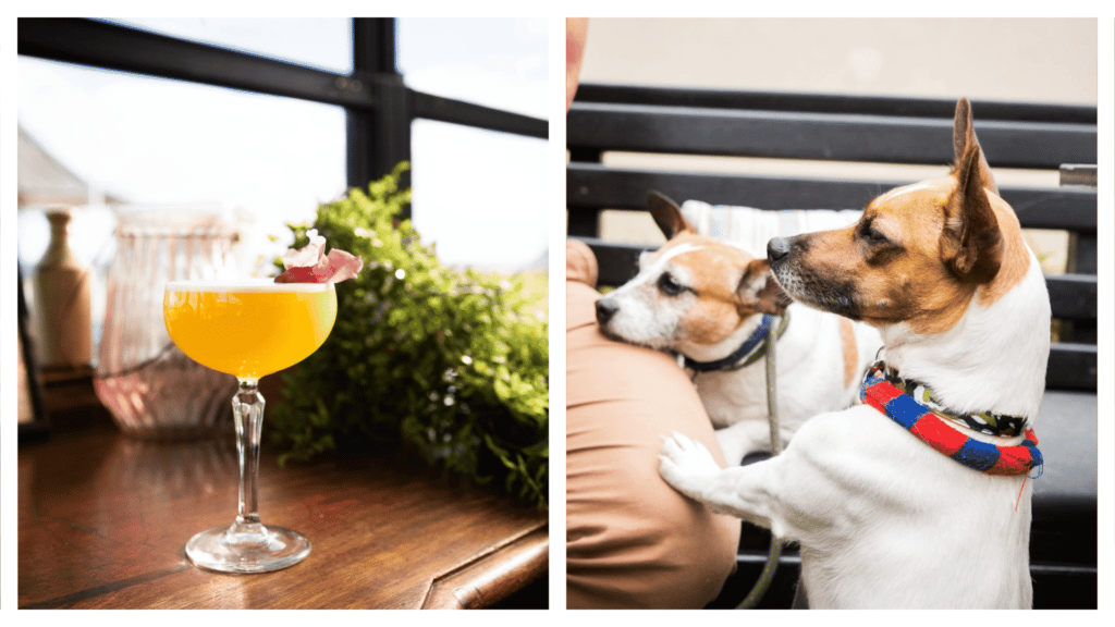 The Martello Bar is one of the best dog-friendly pubs in Ireland.