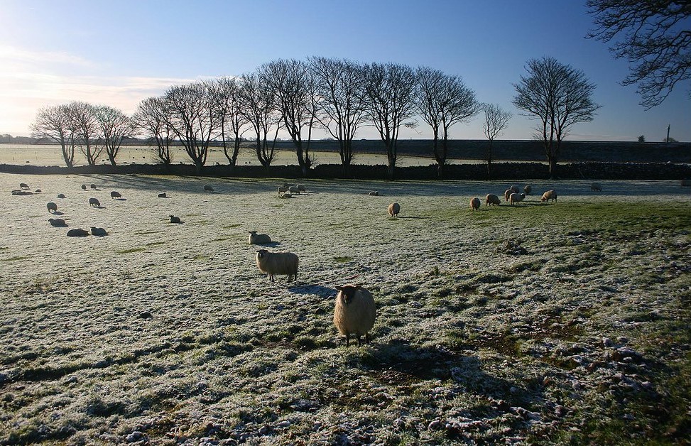 The Fields of Athenry is one of the songs you learned if you went to school in Ireland.