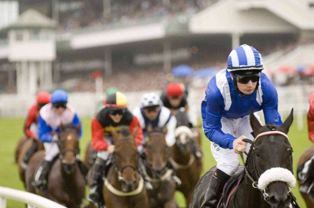 Galway Race Week is one of the biggest events in Ireland's sporting calendar.