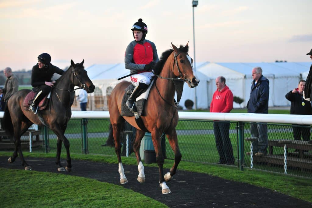 The Irish Grand National is a popular National Hunt Race.