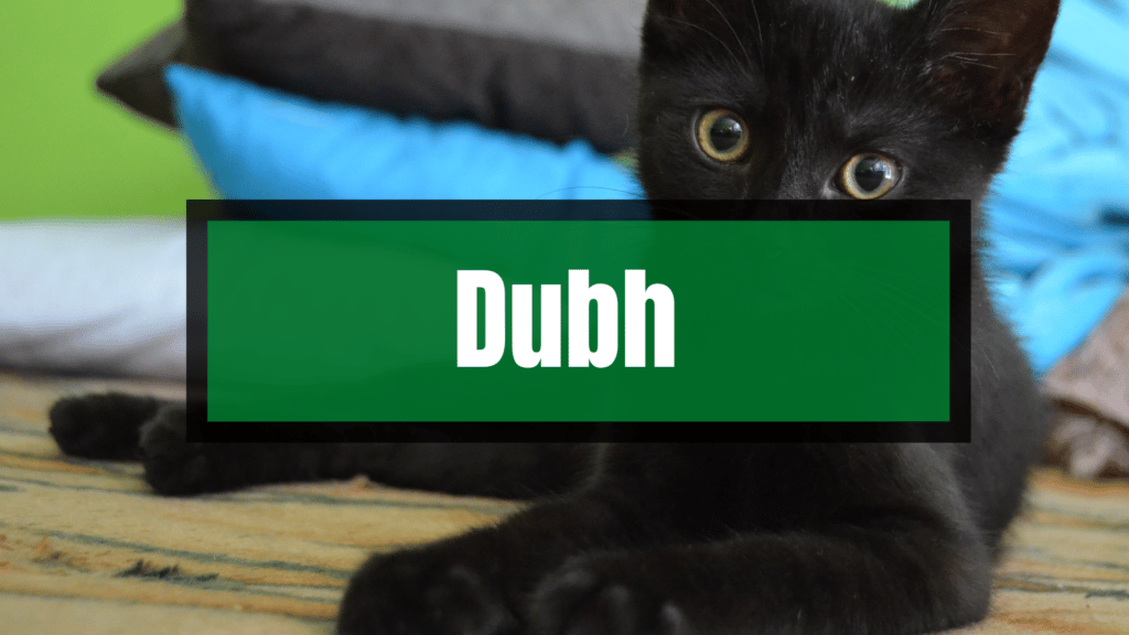 Dubh signifie noir en irlandais.